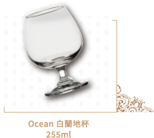 Ocean白蘭地杯255ml