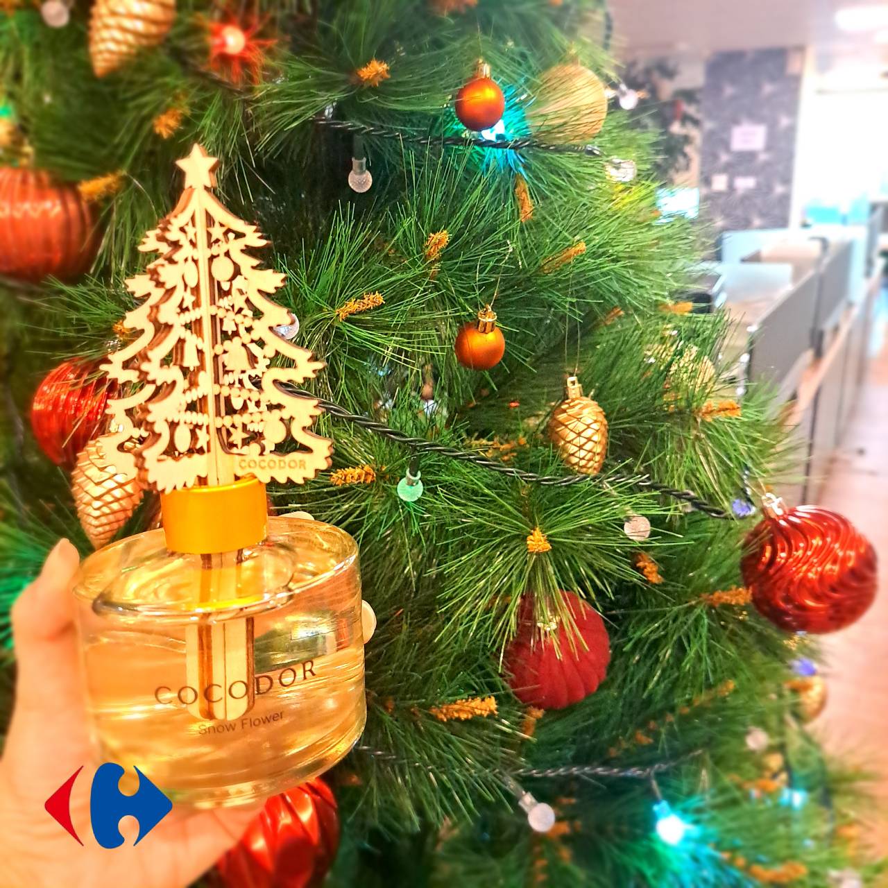 Ferrero Rocher雪糕(經典可可)